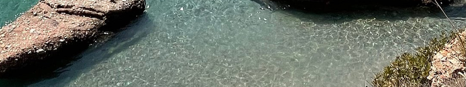 Akvaryum Koyu Banner