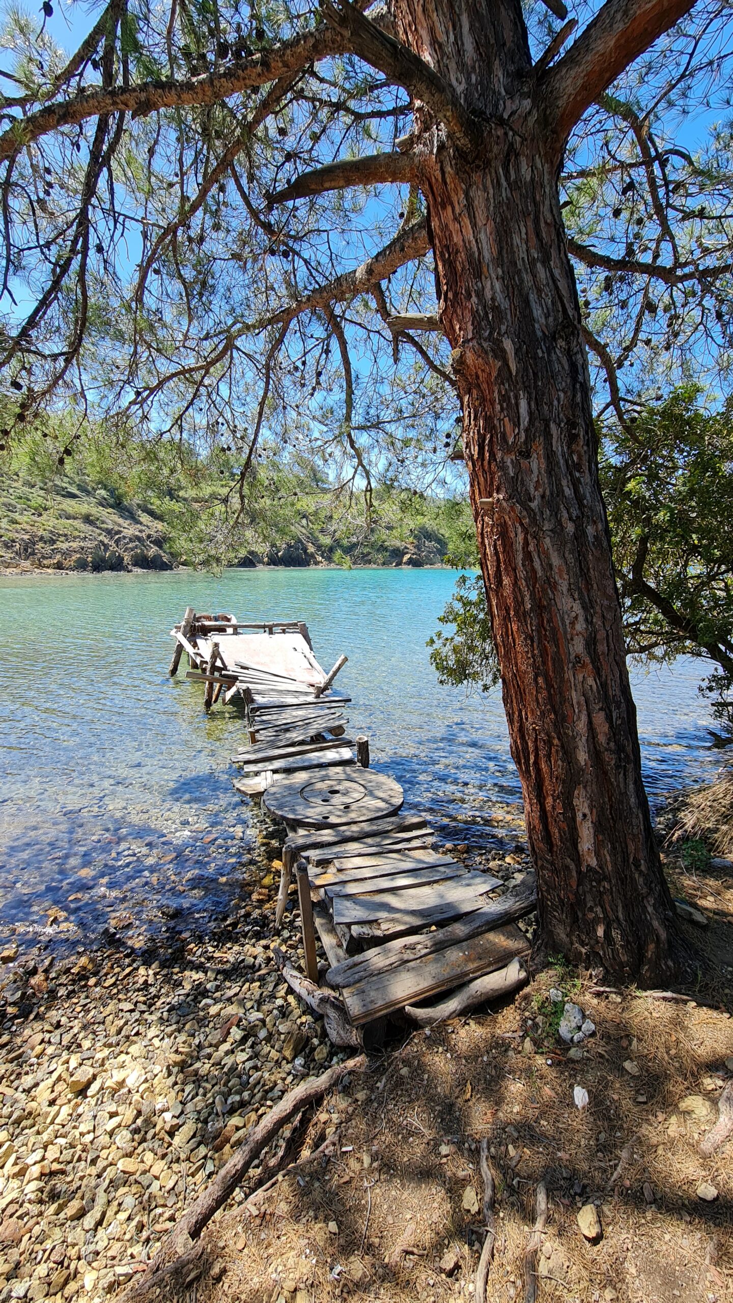 Balıkaşıran